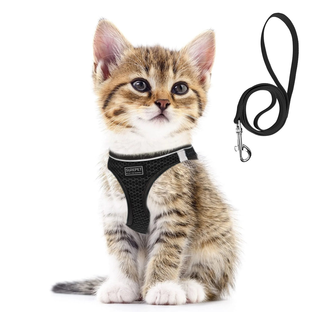 Arnés para perros y gatos con correa de plomo, chaleco ajustable, arneses transpirables de malla de poliéster, sti reflectante para accesorios para perros pequeños y gatos