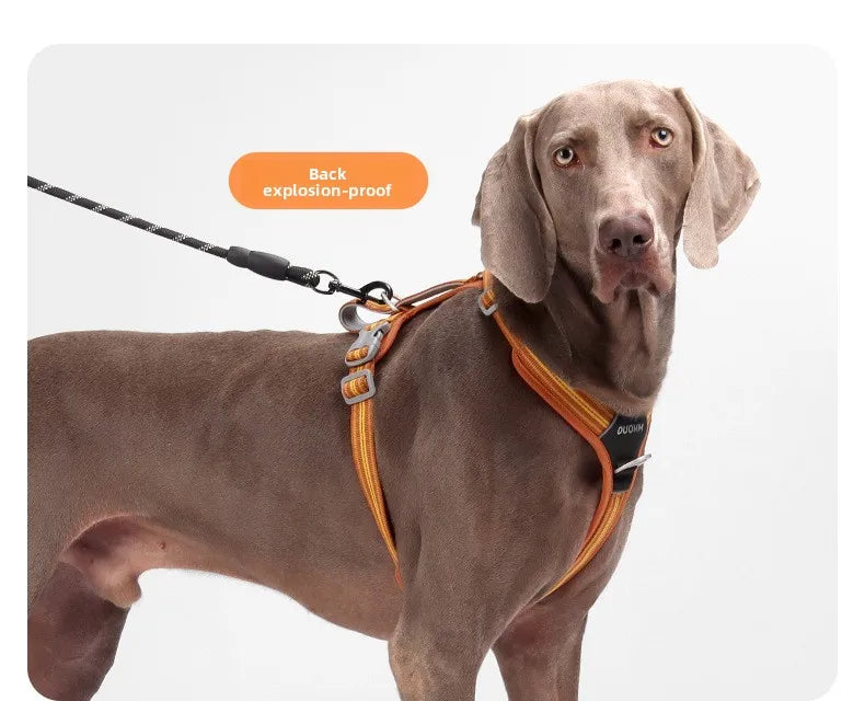 Arnés Antitirones para Perro con Chaleco Reflectante Ajustable